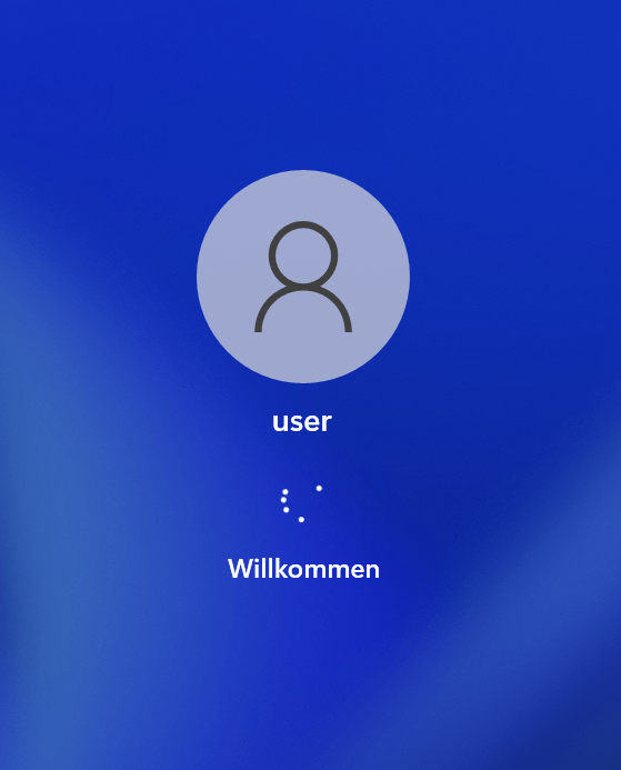 Windows 11 Anmeldung